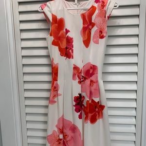 Calvin Klein Dress Size 0 petite